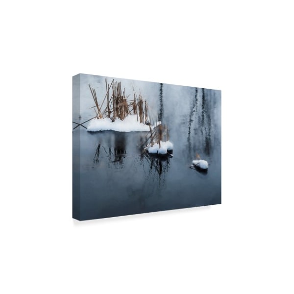 Anthony Paladino 'Snow And Reeds Icy Pond' Canvas Art,24x32